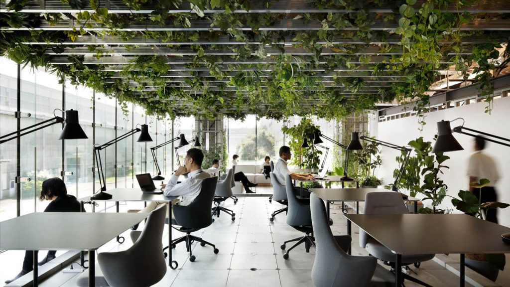 Office working space with greenery and natural light