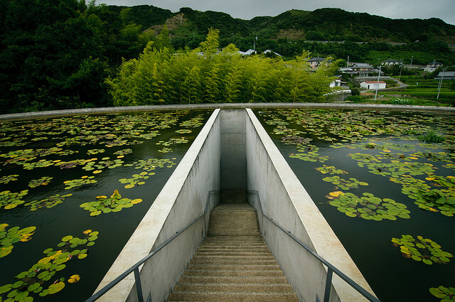Tadao Ando and Critical Regionalism in the Water Temple