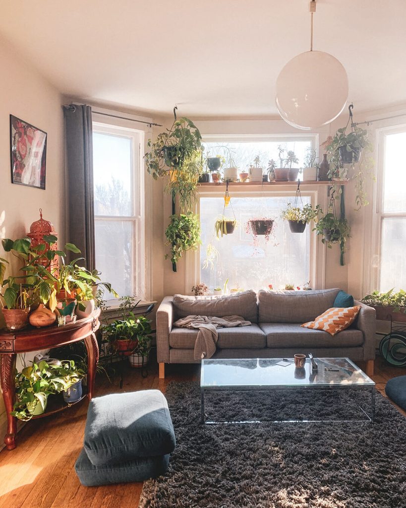 living room with plants with modern bohemian interior design