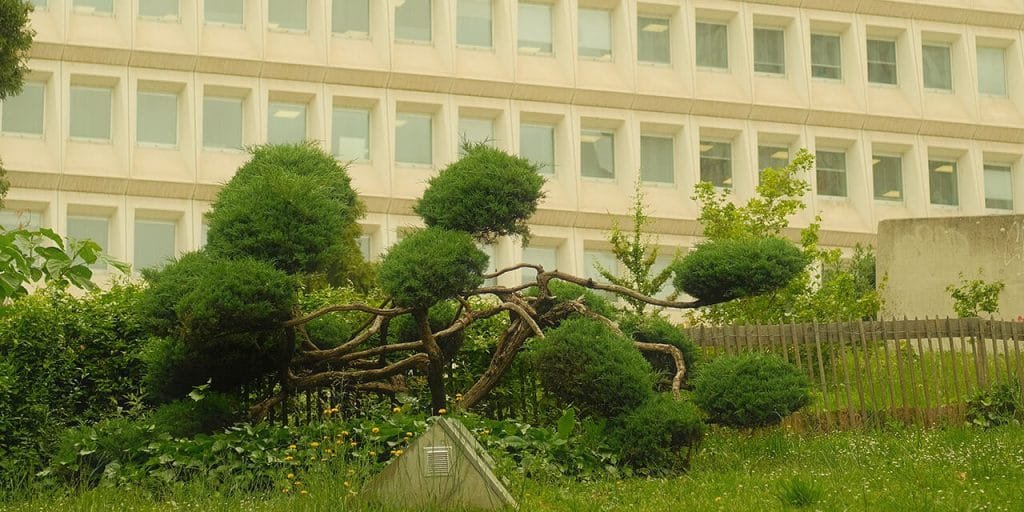 Garden on rooftop important for nature