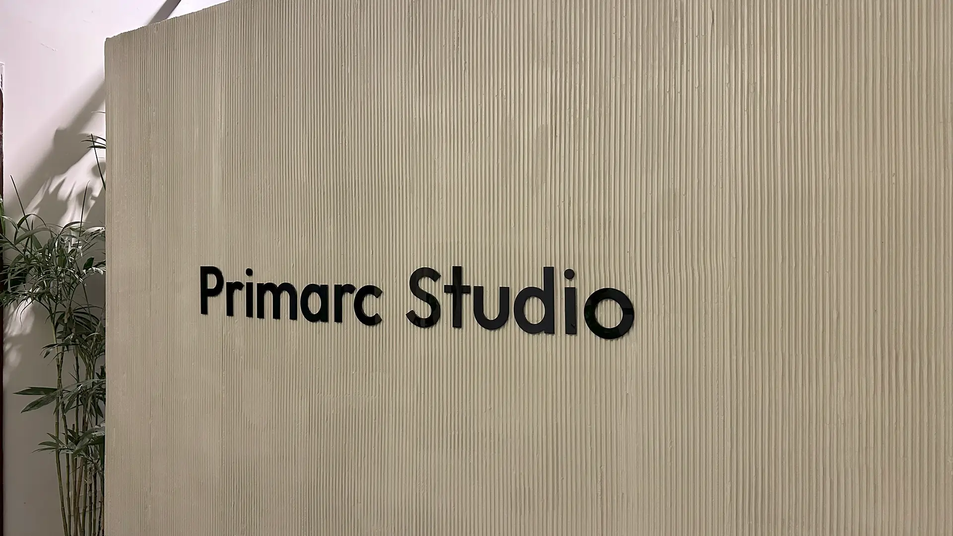 Primarc Studio office wall with modern textured finish and indoor plants in Islamabad.